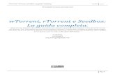 wTorrent, rTorrent e Seedbox - La Guida Completa