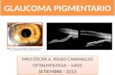 Glaucoma Pigmentario Expo 2013