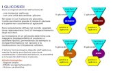Glicosidi Cianogenetici