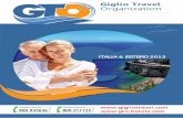 Giglio Travel 2013