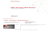 Manuale Sulle Web-Dynpro Application