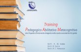 Pam - Training Pedagogico Abilitativo Metacognitivo