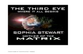 The Third Eye - Amministratore