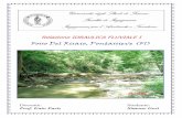 Relazione Idraulica Fluviale I.hec-RAS