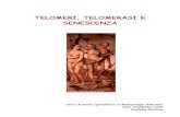 Telomerasi e Senescenza_ Graziano