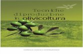 1 Olivicultura It