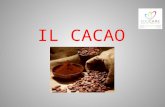EduCare - Educazione Alimentare: Alimento Il Cacao