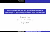 (Italian) Applicazione dei metodi quasi-Newton per la convergenza delle reti neurali