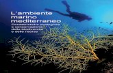L’ambiente marino mediterraneo Caratteristiche ecologiche e conservazione della biodiversità e delle risorse