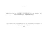 38 Doc Tec Protocolo de Produccion de Planta en Viveros Del FIPRODEFO