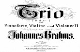 Brahms Trio op. 8 seconda versione.pdf