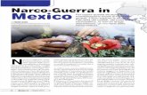 NarcoGuerra in Messico