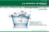 La Chimica di Rippa - Secondo Biennio.pdf