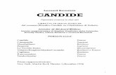 Candide libretto engl-ita