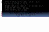 Clase Patologia de La Membrana Timpanica y de La Tuba Auditiva Unjfsc