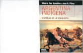 Argentina indigena
