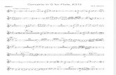 Concert in G for Flute, K313 Oboe 2