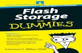 Flash for Dummies IT