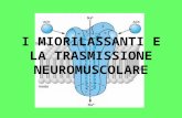 Miorilassanti e La Trasmissione Neuromuscolare