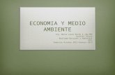 Economia Ecológica MLRSemestreOctubre2012aFebrero2013
