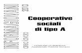 Cooperative Sociali Di Tipo A
