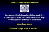 Angelo Avogaro Università degli Studi di Padova La carenza di cellule endoteliali progenitrici: un passaggio chiave nell’ambito della patologia cardiovascolare.
