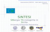 SINTESI SINergie TEcnologiche in SIcilia University-Enterprise Partnership Associazione SINTESI - Viale delle Scienze - Palermo Università degli Studi.