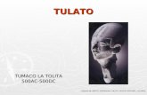 TULATO TUMACO LA TOLITA 500AC-500DC TOMADO DE: BREZZI, ANDREA2003, TULATO, VILLEGAS EDITORES, COLOMBIA.