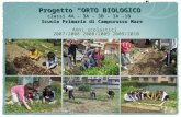 Progetto “ORTO BIOLOGICO” classi 4A - 3A - 3B - 1A -1B   Scuola Primaria di Camporosso Mare