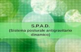 S.P.A.D. (Sistema posturale antigravitario dinamico)