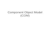 Component Object Model (COM)