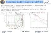Ricerca dell'Higgs a LEP II