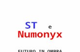 ST e Numonyx FUTURO IN OMBRA Elaborazione Rsu Catania ST e Numonyx