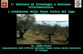 Dr. MAURO NATALI Responsabile dell'Ufficio Gestione Fauna Ittica della Provincia di Perugia