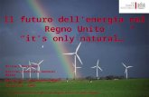 Il futuro dell’energia  nel Regno Unito “it’s only natural…”