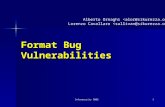 Format Bug Vulnerabilities
