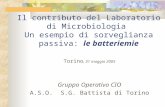 Torino , 31 maggio 2005 Gruppo Operativo CIO A.S.O.  S.G. Battista di Torino