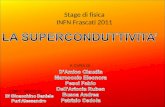 Stage di fisica INFN Frascati 2011
