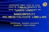 NANOCOMPOSITI POLIMERO/SILICATO LAMELLARE