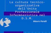 La cultura tecnico-organizzativa dell’Unita Professionale Infermieristica nel D.S.M