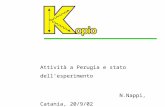 Attività a Perugia e stato dell’esperimento