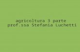 agricoltura 3 parte  prof.ssa Stefania Luchetti