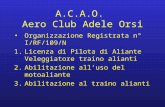 A.C.A.O.  Aero Club Adele Orsi