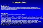 IL MORBILLO-1