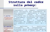 Struttura del  codice  sulla  privacy :
