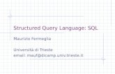 Structured Query Language: SQL
