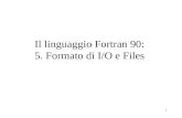 Il linguaggio Fortran 90:  5. Formato di I/O e Files