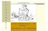 Liceo Scientifico “ M. Curie “ Savignano sul Rubicone