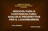PREMIO DI STUDIO "Giuseppe e Carina d’Auria" II edizione
