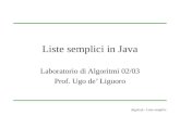 Liste semplici in Java